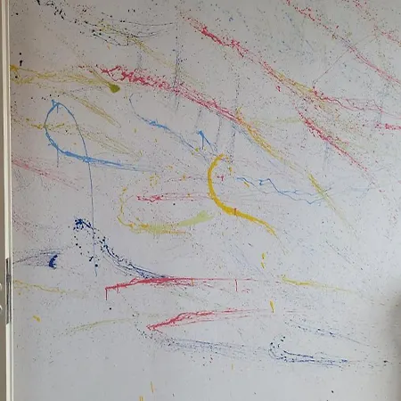 Daire The Life Gallery